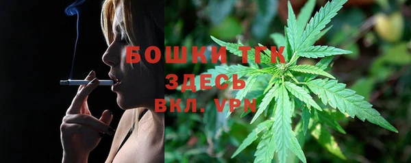 дживик Аркадак